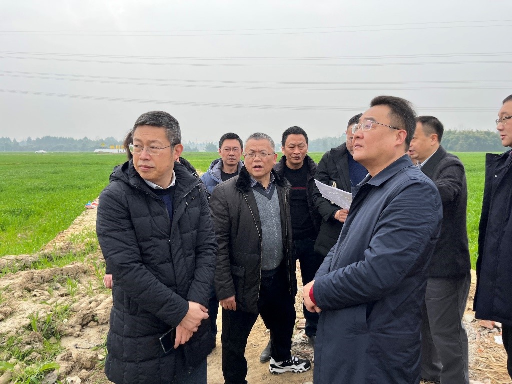 省社、省供投集團領(lǐng)導調(diào)研青白江區(qū)四川現(xiàn)代供銷種業(yè)園區(qū)