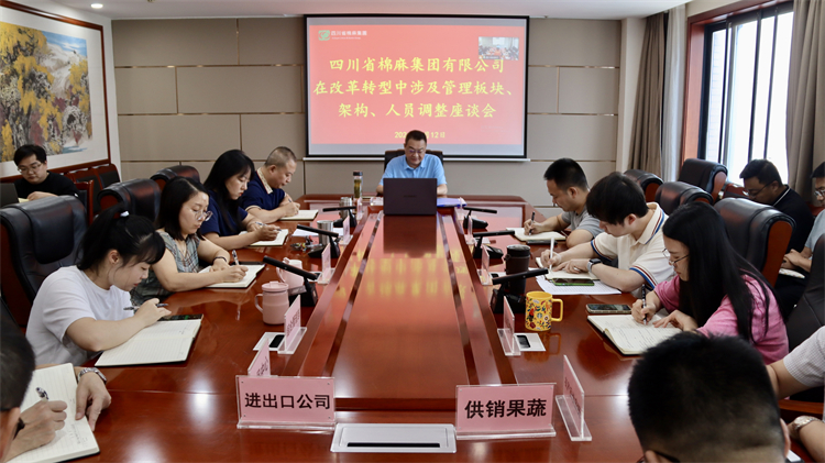 集團(tuán)公司召開(kāi)在改革轉(zhuǎn)型中涉及管理板塊、架構(gòu)、人員調(diào)整座談會(huì)
