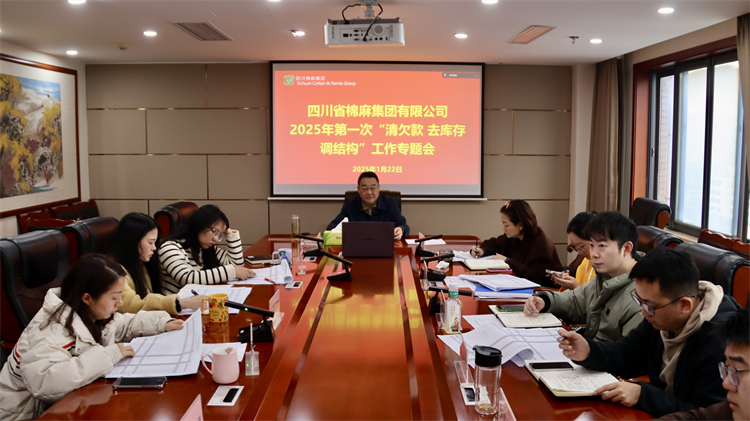 集團(tuán)公司召開2025年第一次“清欠款、去庫(kù)存、調(diào)結(jié)構(gòu)”工作專題會(huì)